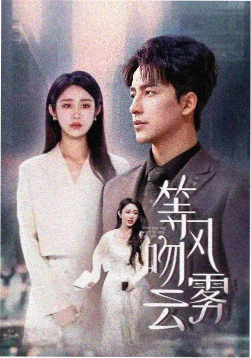 沉默的证词 免费在线观看