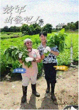 交换人生48小时 免费综艺